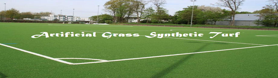 Artificial Grass Synthetic Turf
